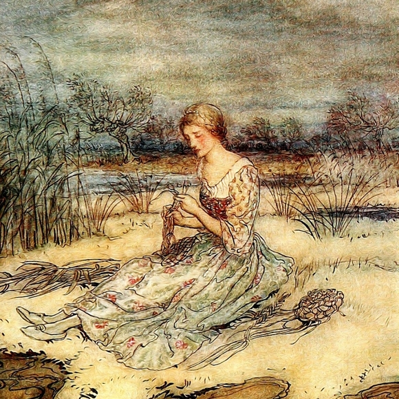 Meet your Posher, Cici... - Picture 4 of 16